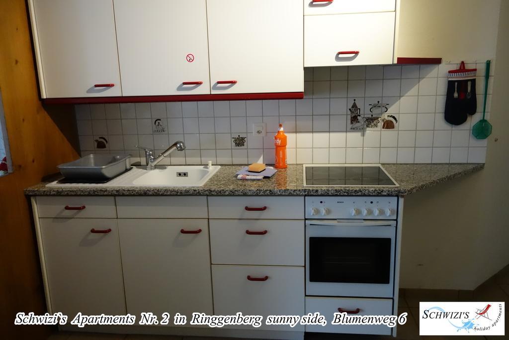 Schwizi'S Apartments Ringgenberg Cameră foto
